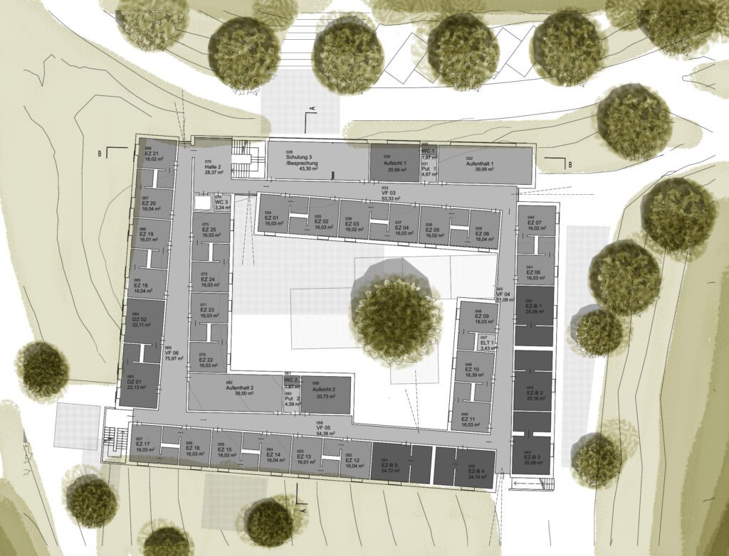 CJD_Plan_2